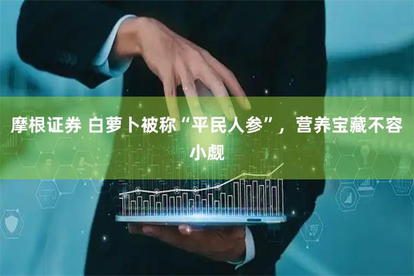 摩根证券 白萝卜被称“平民人参”，营养宝藏不容小觑